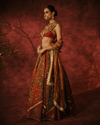 RUST NECKLACE-STYLE CAPE WITH MIRROR-WORK BUSTIER