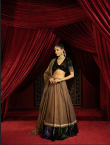  BROWN TISSUE LEHENGA WITH PRINTED VELVET BORDER, VELVET BLOUSE & STRIPED DUPATTA