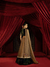 BROWN TISSUE LEHENGA WITH PRINTED VELVET BORDER, VELVET BLOUSE & STRIPED DUPATTA